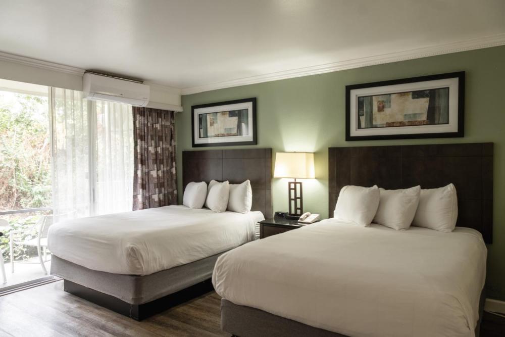 One-Bedroom Suite with One King and Two Queen Beds - Non-Smoking